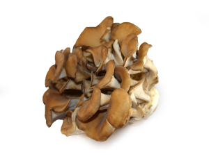 maitake