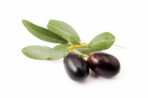 Olives isolated