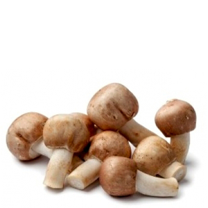 Agaricus blazei Mushroom Extract
