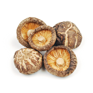 Shiitake Mushroom Extract